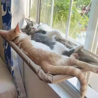 Ultra Soft Cat Window Hammock Bed Securely Mounted Space Saving Cat Perch Ideal for Feline Naptime Top Pet Accessories for Cats
