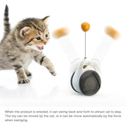 Funny Pet Products for Dropshipping, Interactive Balance Car Cat Chasing Toy With Catnip, Tumbler Swing Toys for Cats Kitten