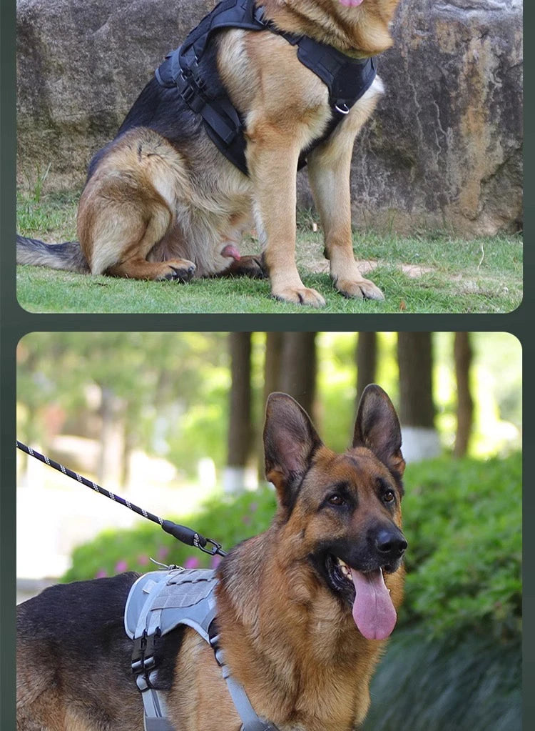 Dog Harness,Tactical Dog Harness with Handle,No-Pull Service Dog Vest with Hook & Loop Panels,Adjustable Dog Vest Harness for Wa